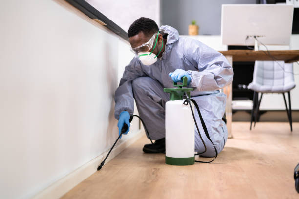 Best Pest Control for Multi-Family Homes  in Greeley, CO